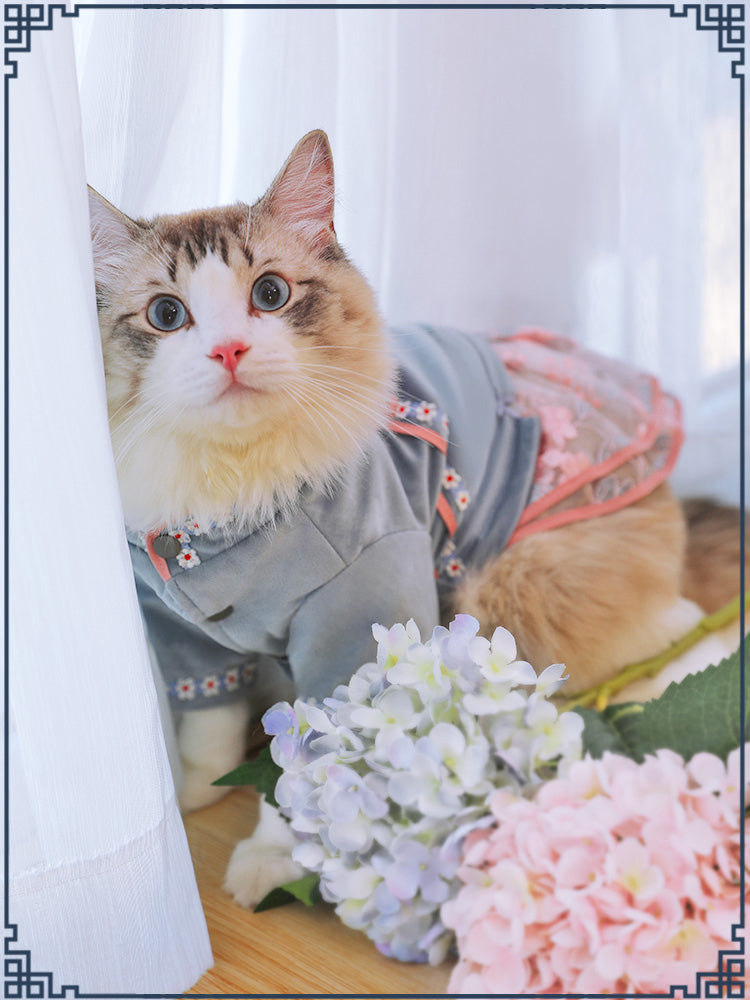 Elevate Your Cat's Style with Our Pet Clothing Outfit